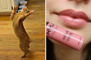 On the left, a cat making a silly face and jumping while playing with a toy. On the right, a reviewer wearing NYX butter gloss