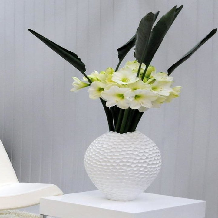 20 Best Etsy Plant Shops Every Plant Parent Will Love