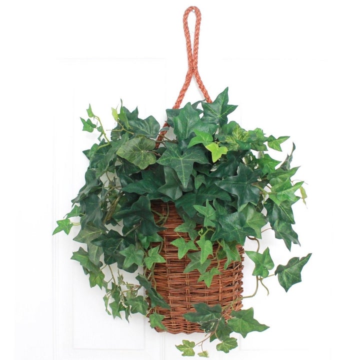 20 Best Etsy Plant Shops Every Plant Parent Will Love