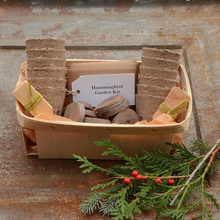 20 Best Etsy Plant Shops Every Plant Parent Will Love