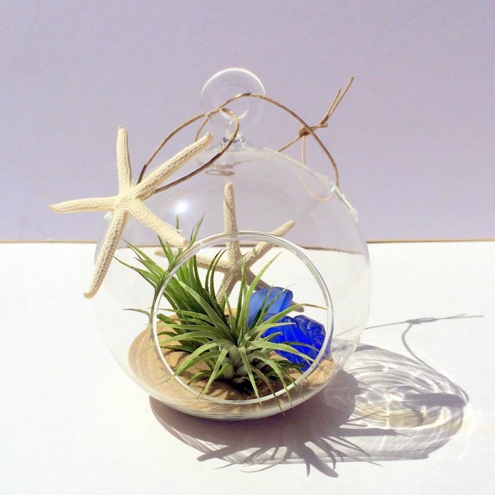 20 Best Etsy Plant Shops Every Plant Parent Will Love