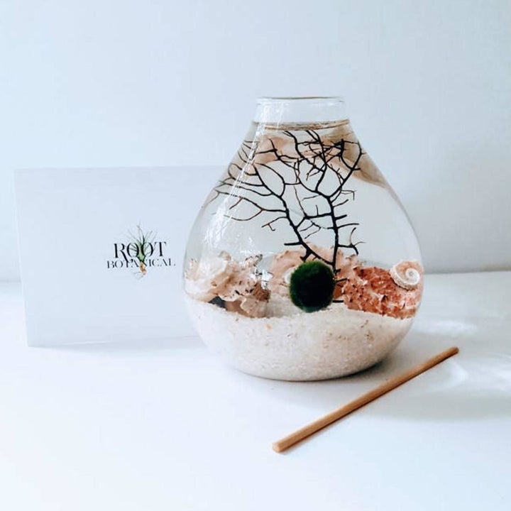 20 Best Etsy Plant Shops Every Plant Parent Will Love