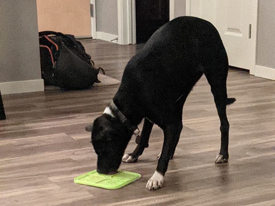A dog licks the mat