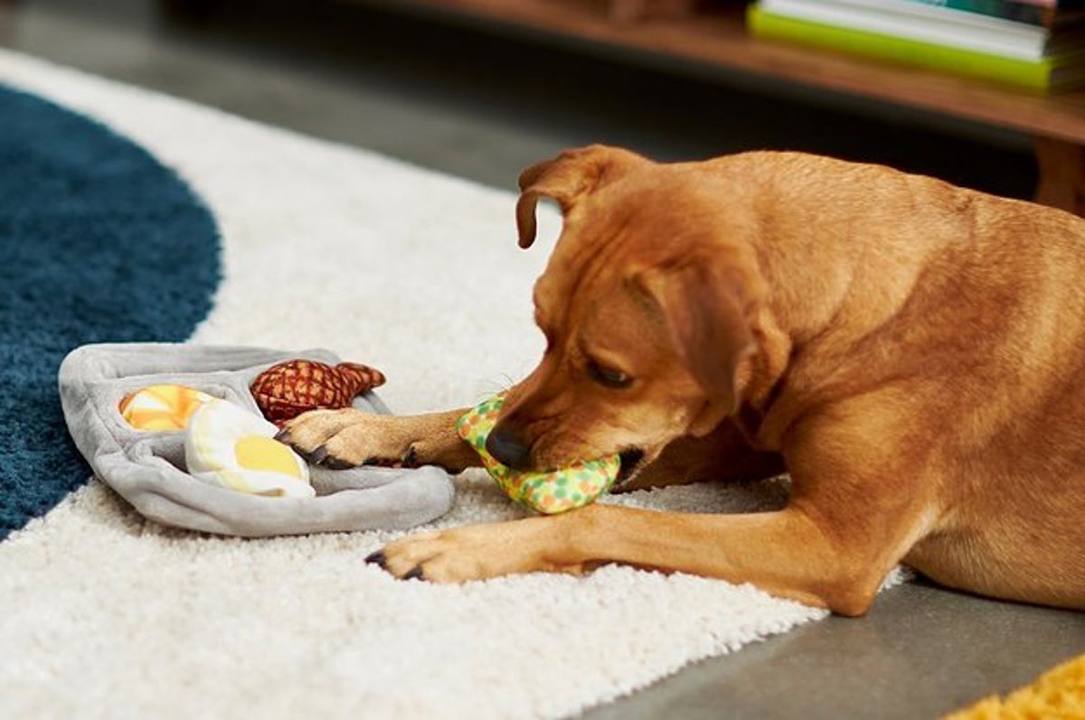 Ins Dog Toys Pull Sweet Potato Sweet Potato Sets Pet Toys Squeaky Pet  Hidden Food Toys Interactive Dog Toy Dog Chew Toys 