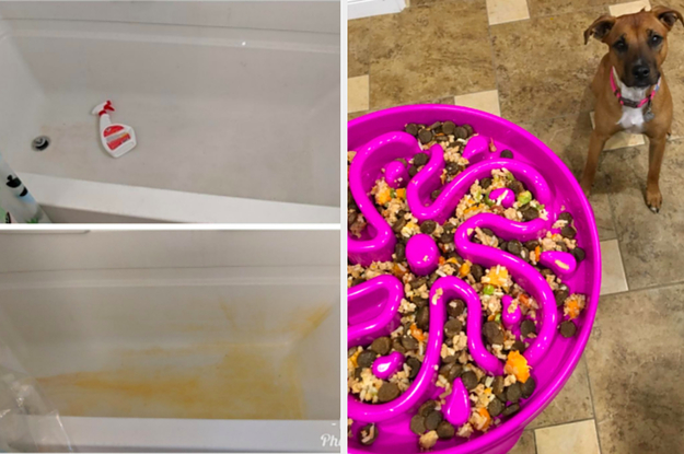 On the left, a before and after of a tub with and without rust stains and a spray bottle of cleaner. On the right, a dog being fed from a slow feeder bowl