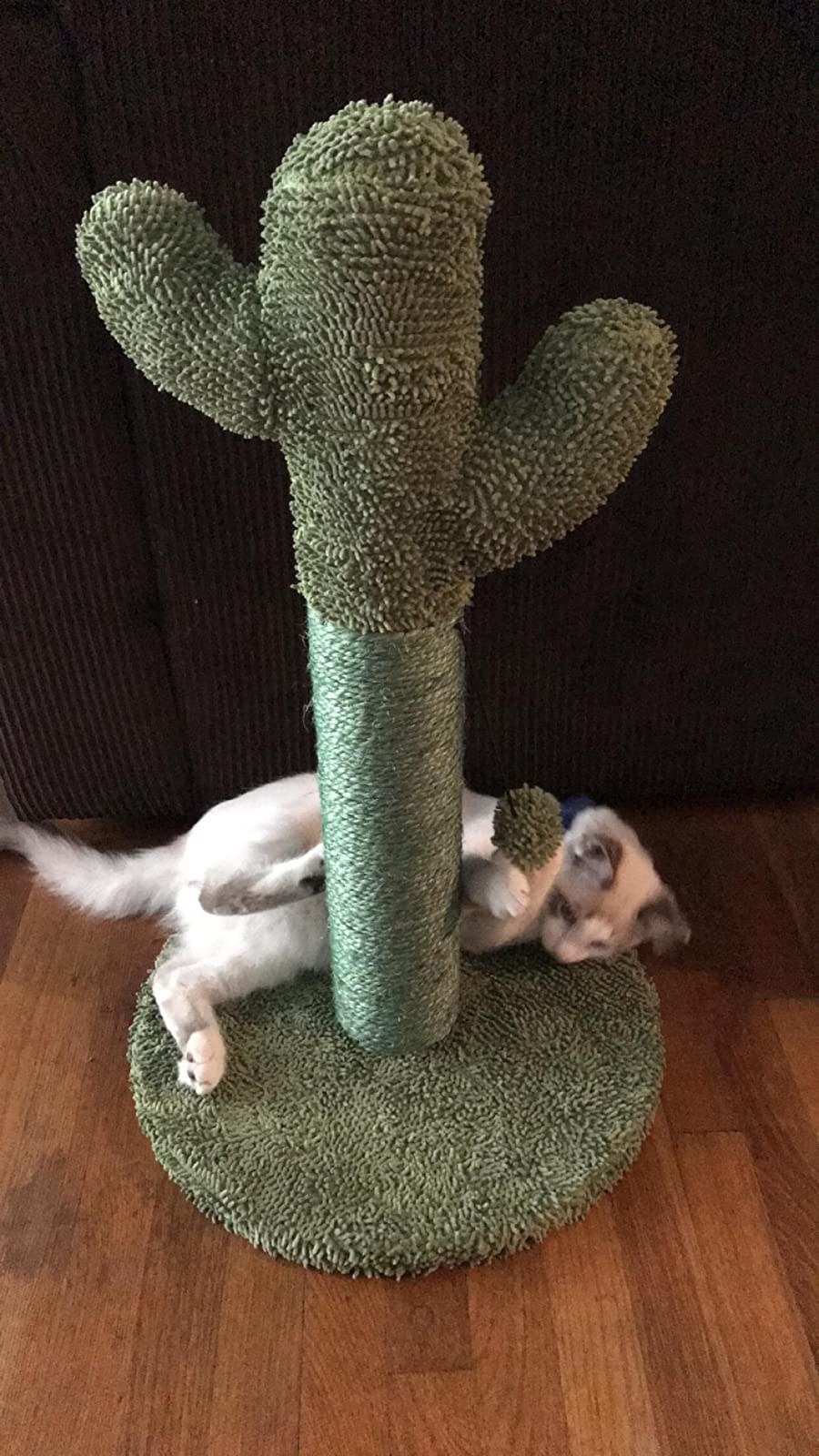 A cat scratches the freestanding cactus scratching post