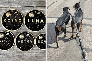 left image: customizable cosmic nametags, right image: two dogs on double leash 