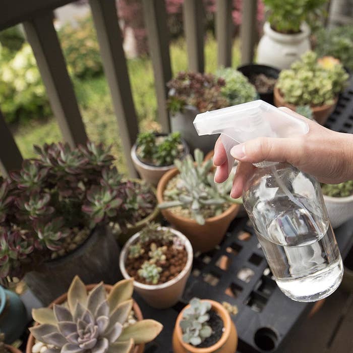 A person using the glass spray bottle to mist plants on their balcony