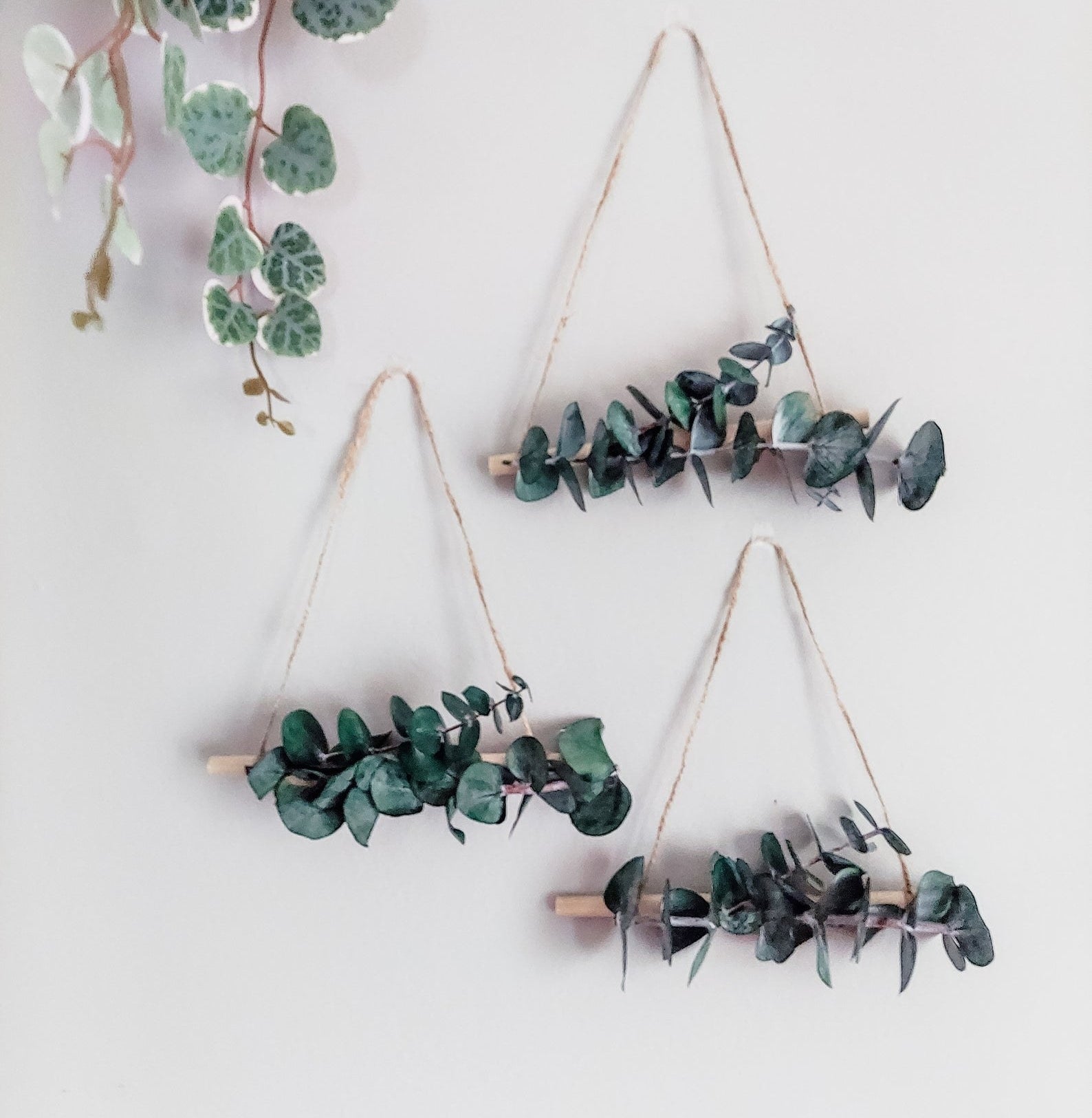 photo of the eucalyptus wall hanging 