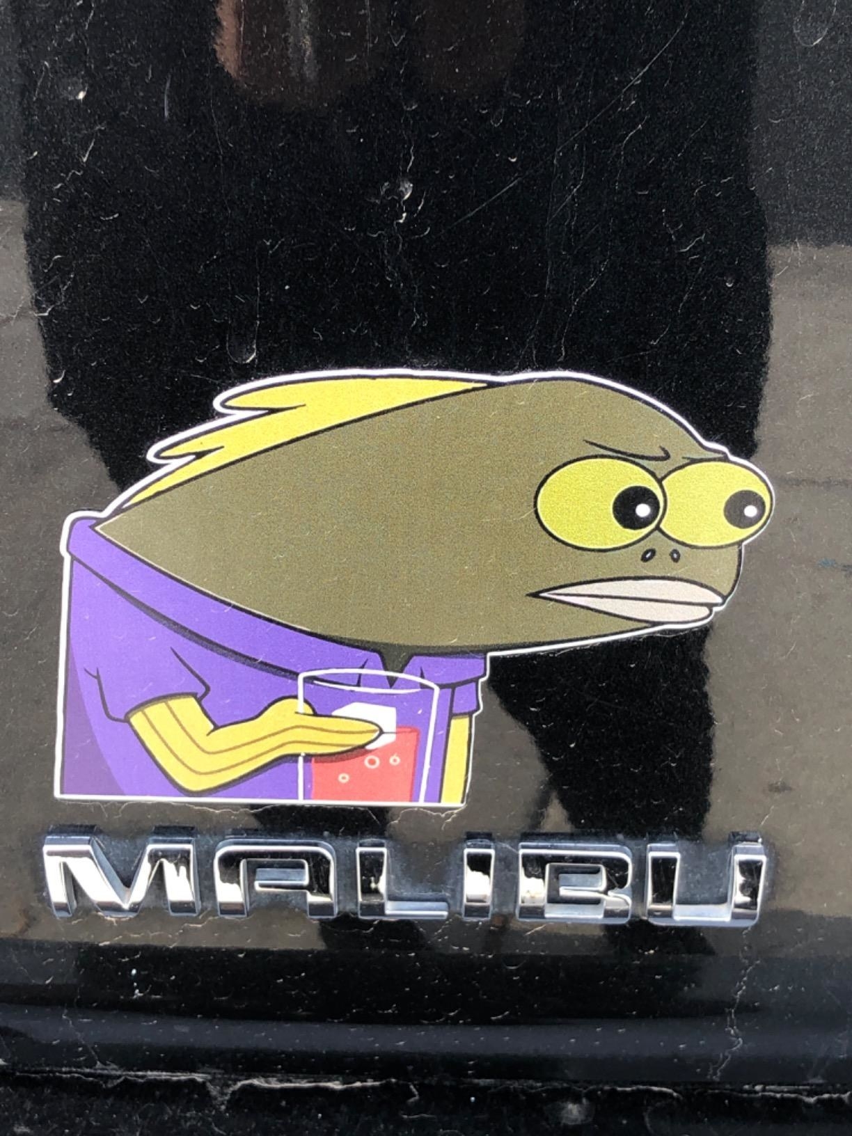 magnet that looks like the fish from spongebob that cranes out his neck and looks judgemental 