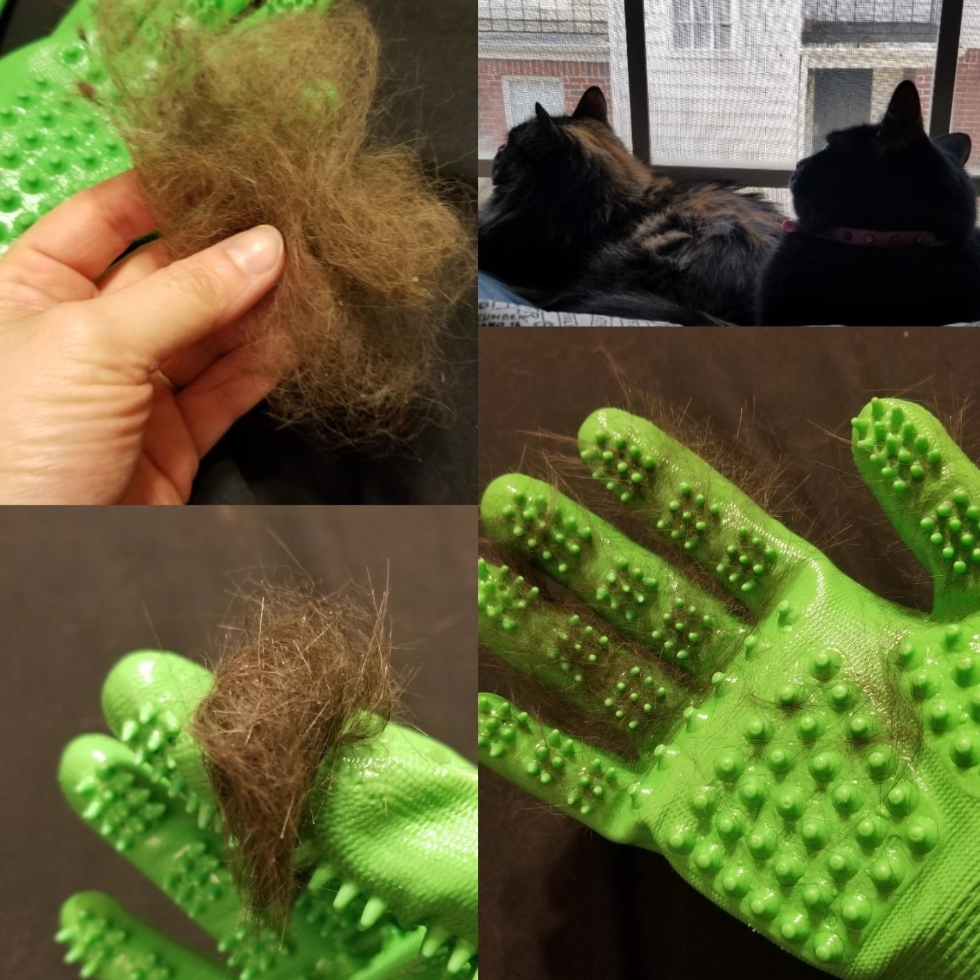 A demonstration of the cat hair the gloves can remove and how easy it is to get the hair off the gloves