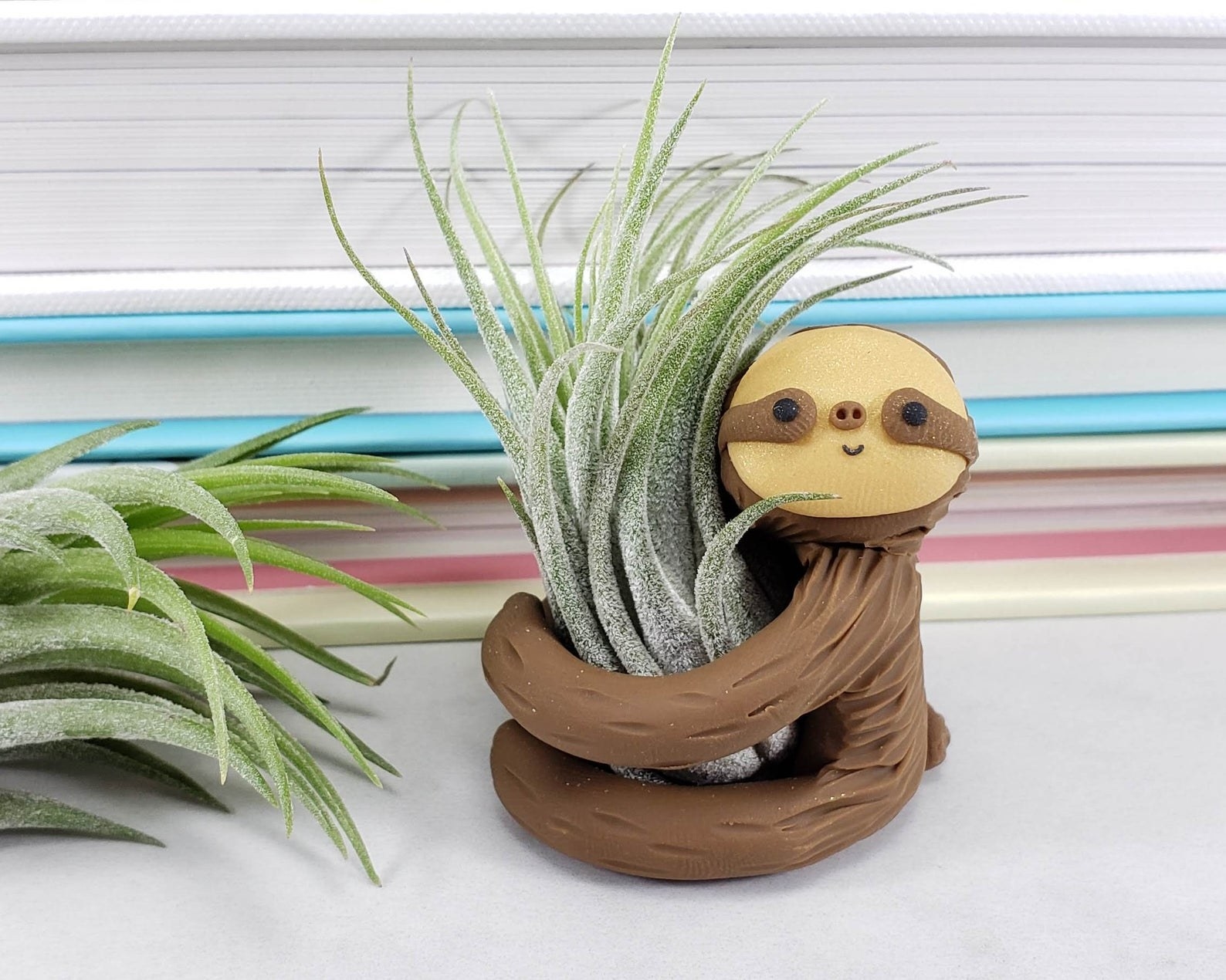 Sloth air plant holder placed on desk