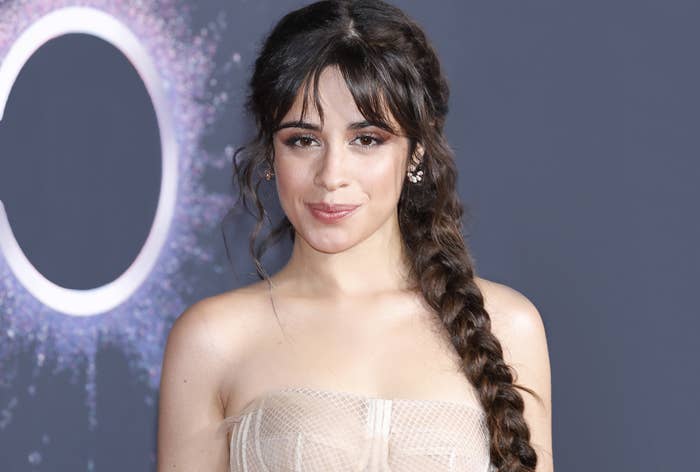 Camila on the red carpet rocking a long braid