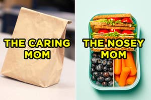 On the left, a lunch in a paper bag labeled "The Caring Mom," and on the right, a sandwich, blueberries, and carrots in a bento box labeled "The Nosey Mom"