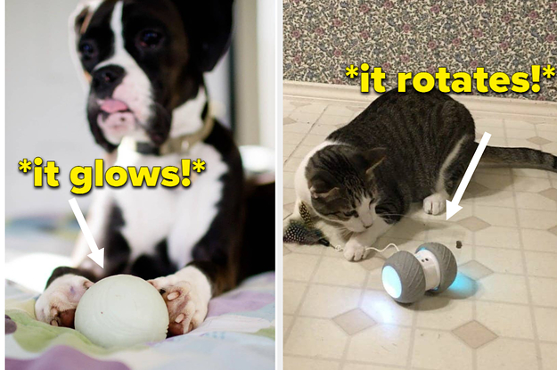 25 Things From Amazon Reviewers Say Have Kept Their Pets Entertained During Quarantine