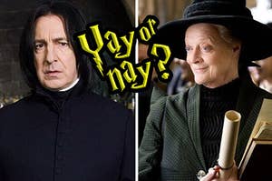 Snape and McGonagall staring at each other lovingly 