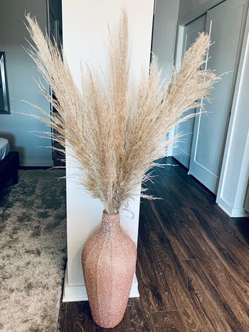 dried pampas grass in a tall pink vase against a corner wall