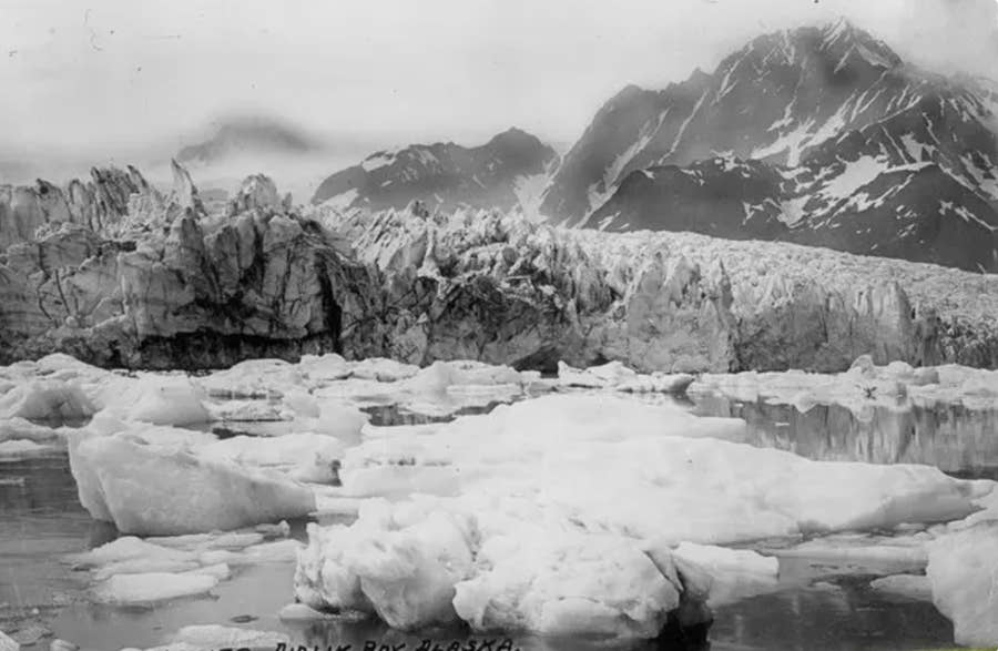気候変動で違う姿に アラスカ氷河の 昔と今 の写真を比べてみたら衝撃だった
