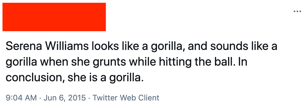 A Twitter user saying horribly racist things about Serena Williams: &quot;Serena Williams looks like a gorilla, and sounds like a gorilla when she grunts while hitting the ball&quot;