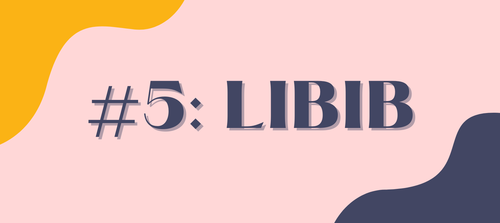 #5: Libib