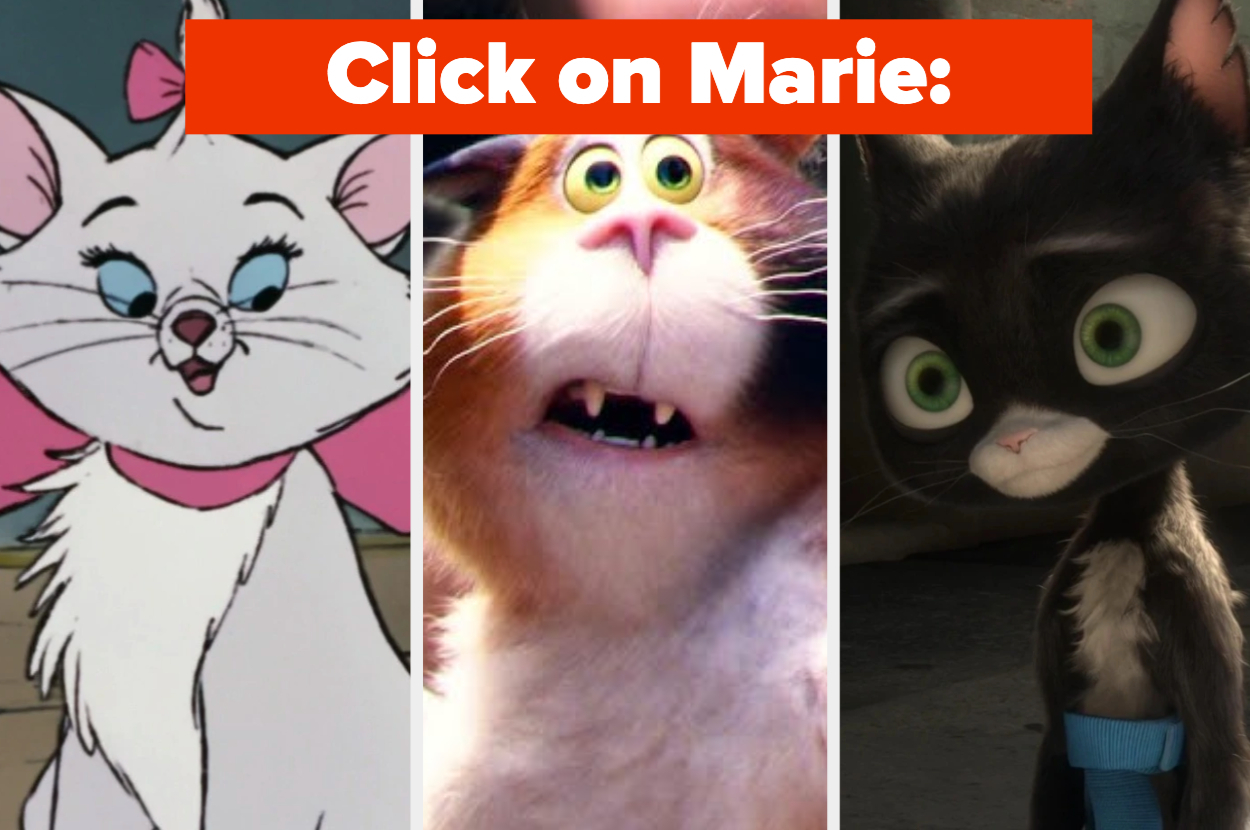 Disney Cat Trivia Quiz