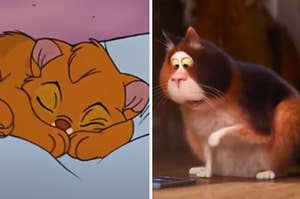 A cat is bundled up on a pillow on the left with another playing with a phone on the right