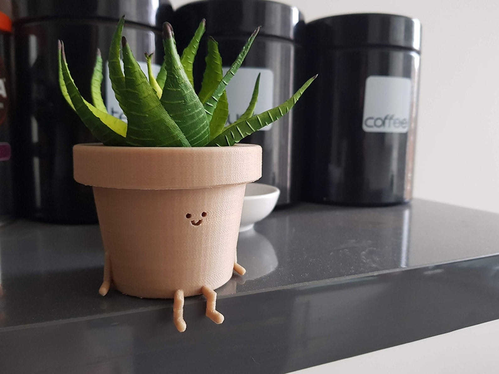 Sitting planet placed on edge of shelf
