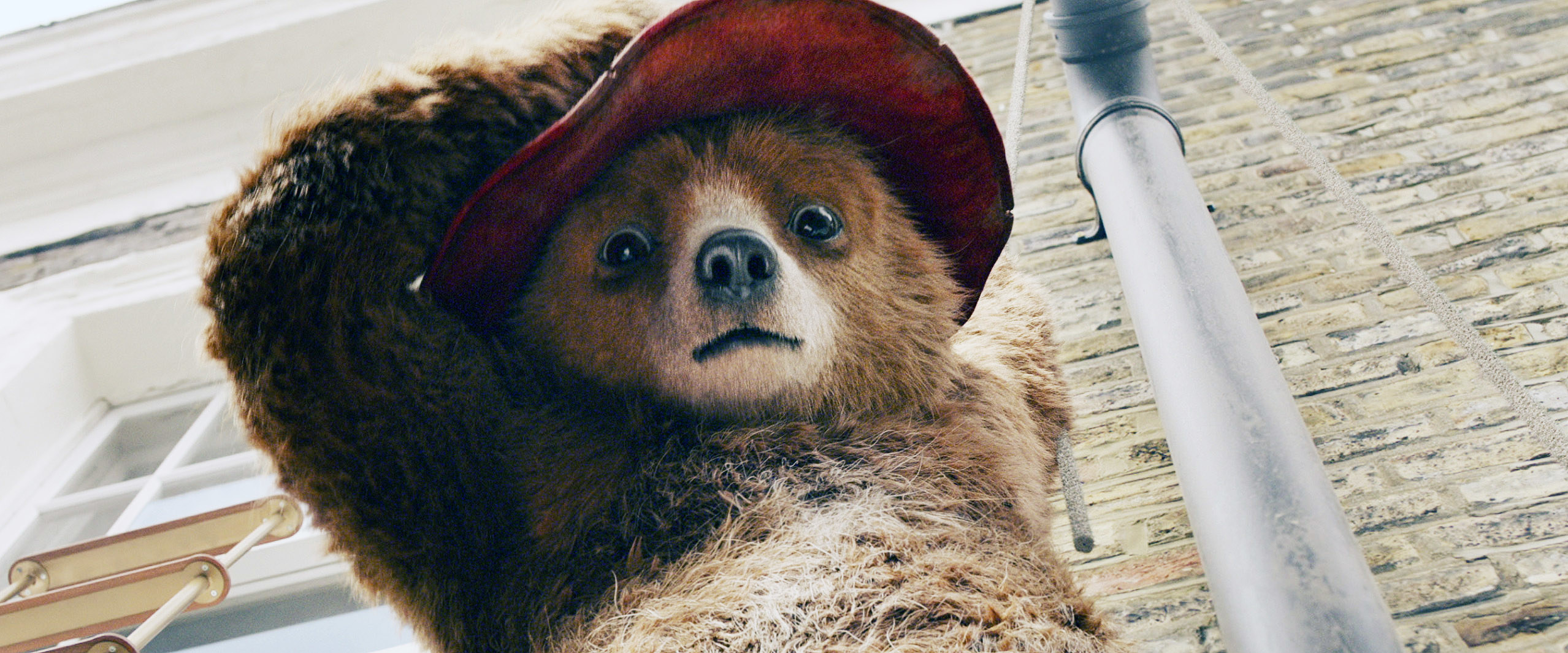 Paddington bear