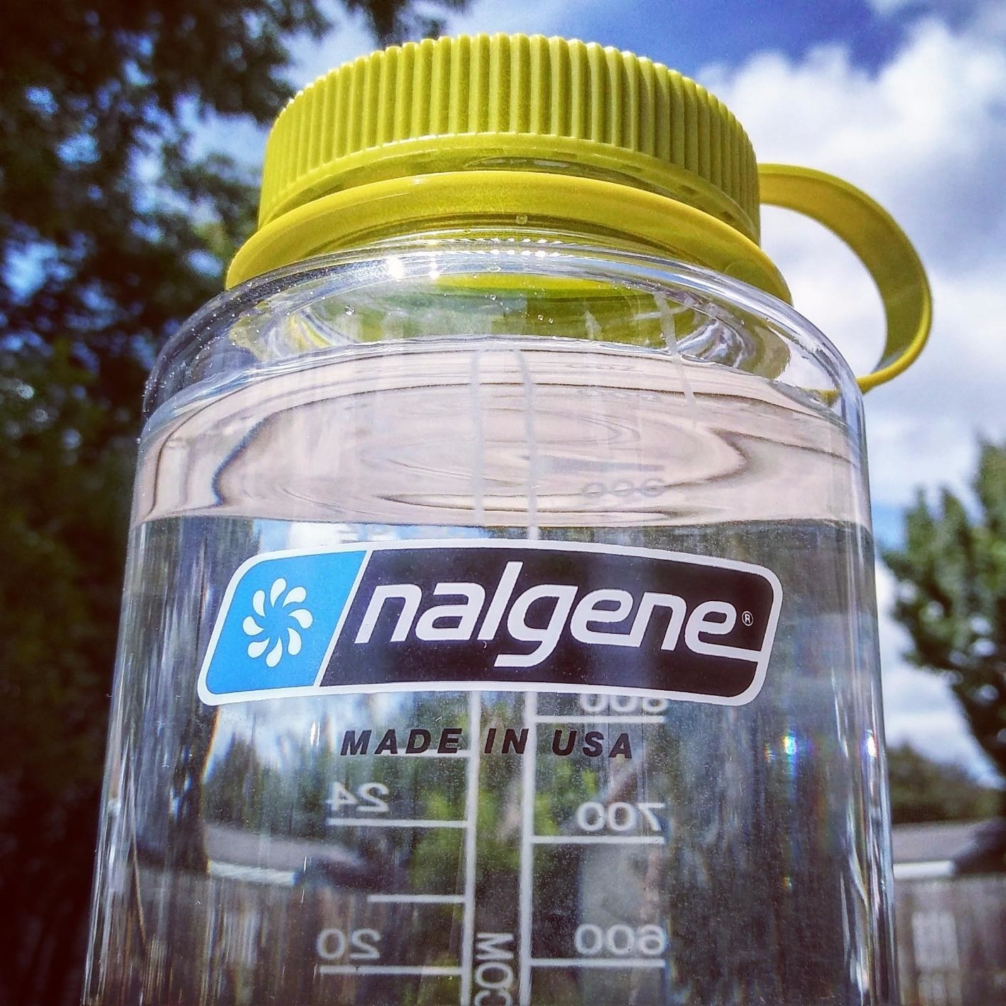 A clear water bottle with the logo in front of nature