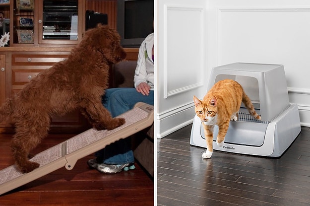 Buzzfeed Archive For April 5 21