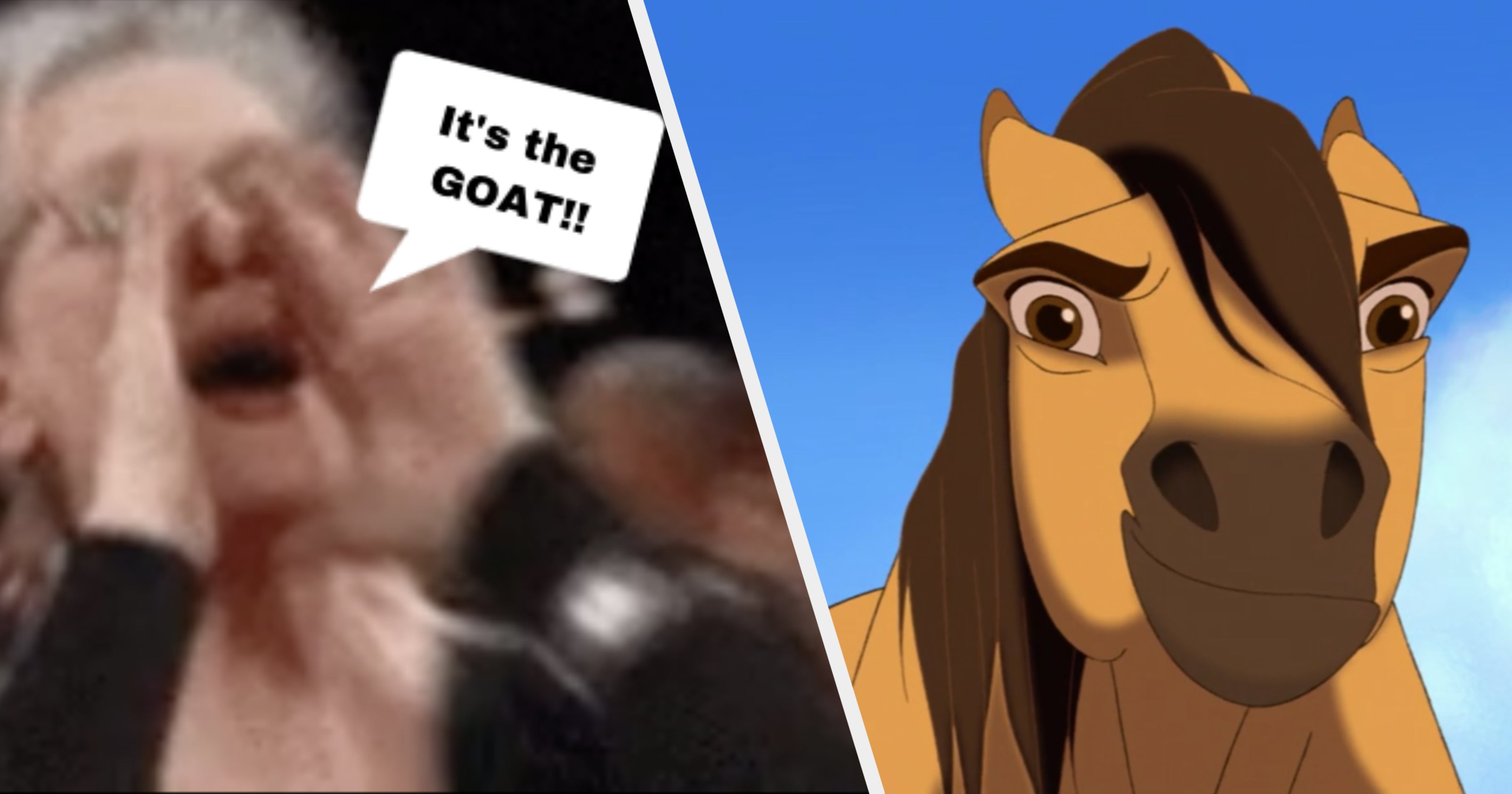 Spirit Is The Best Horse Movie Ever Made Sorry to burst your bubble guys, but it's not going to happen. spirit is the best horse movie ever made