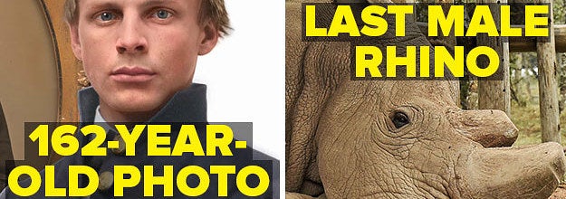 162 year old portrait of a civil war soldier restored and colorized, and the last male northern white rhino