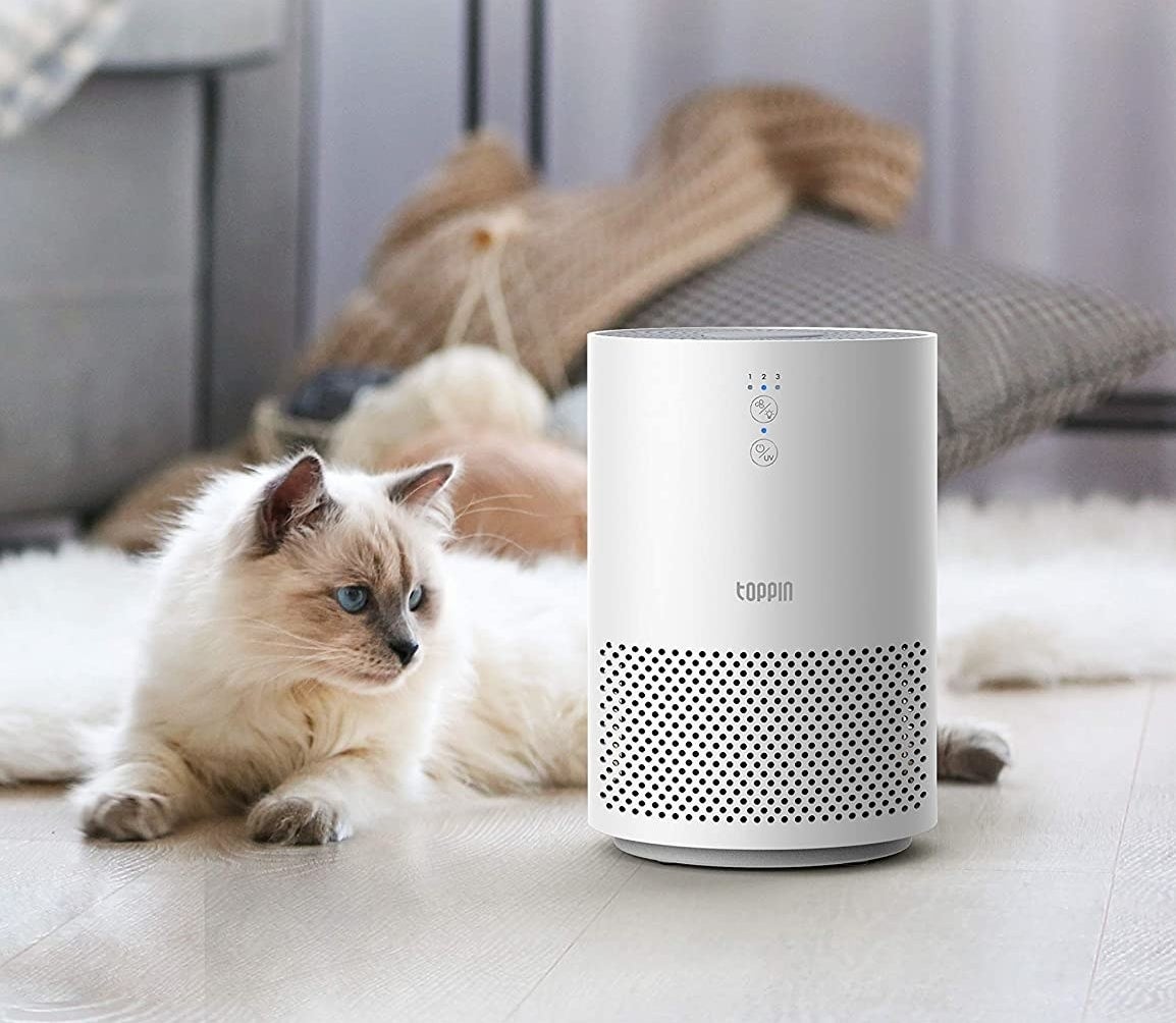 A white air purifier next to a cat