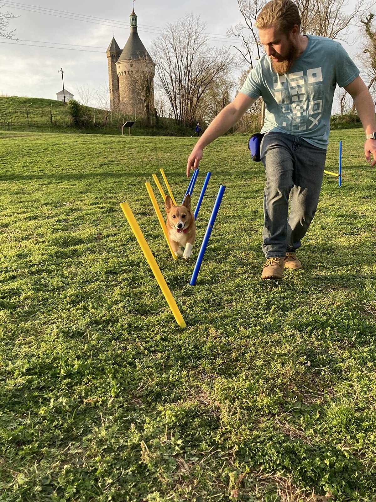 dog and owner playing in grass with obstacle course