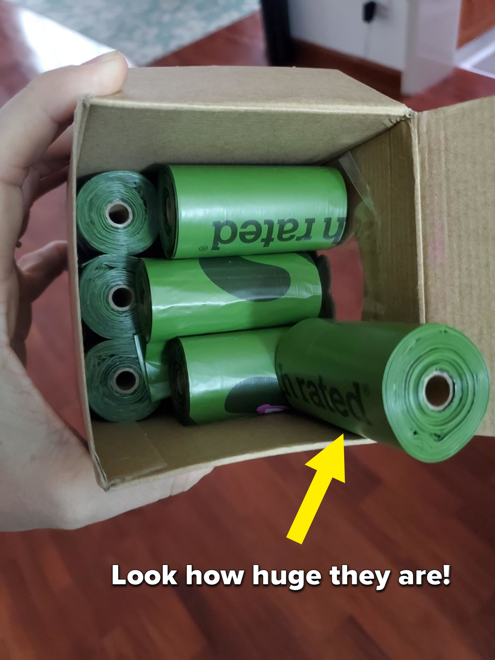 A reviewer holds a cardboard box of rolls of the green bags