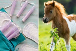 Side-by-side images of period products and a baby horse