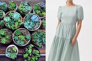 On the left, some succulents in pots on a table, and on the right, someone wearing a long dress with short sleeves