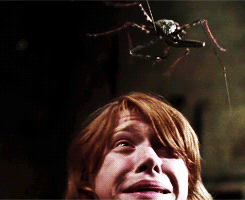 a spider lands on Ron&#x27;s head in Harry Potter