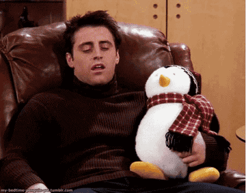 Joey waking up and hiding his stuffed animal on Friends