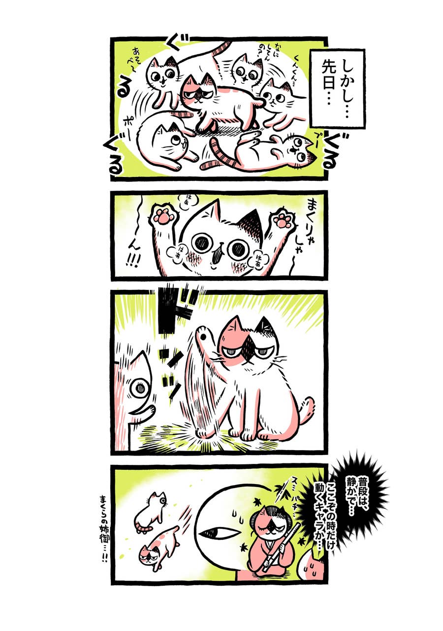 ねこ界のドン現る 年上ねこの絶対に動じない 重鎮 感がハンパない
