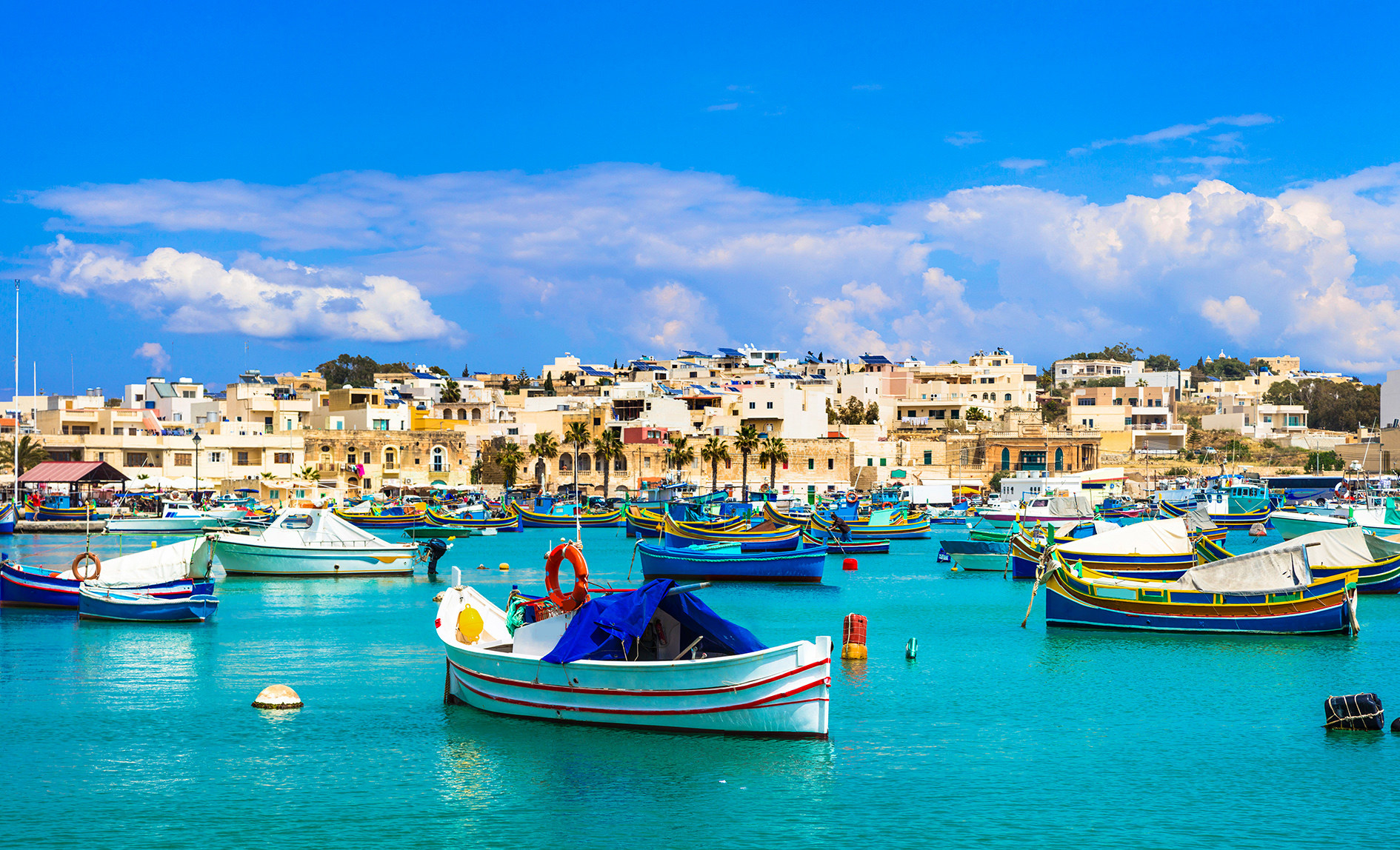 daytime shot of the water with lots of boats on the water