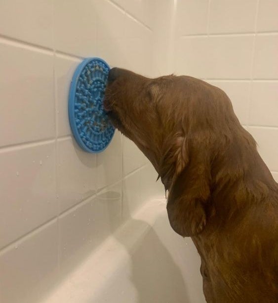 Reviewer&#x27;s picture of dog licking peanut butter off the mat while being bathed