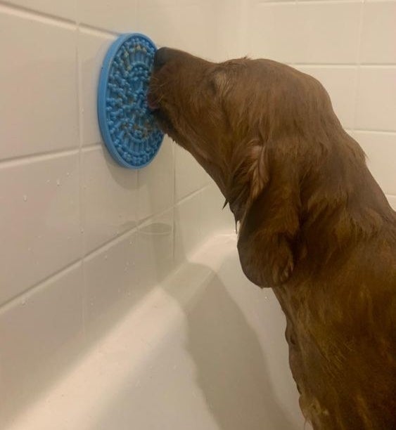 Reviewer&#x27;s picture of dog licking peanut butter off the mat while being bathed