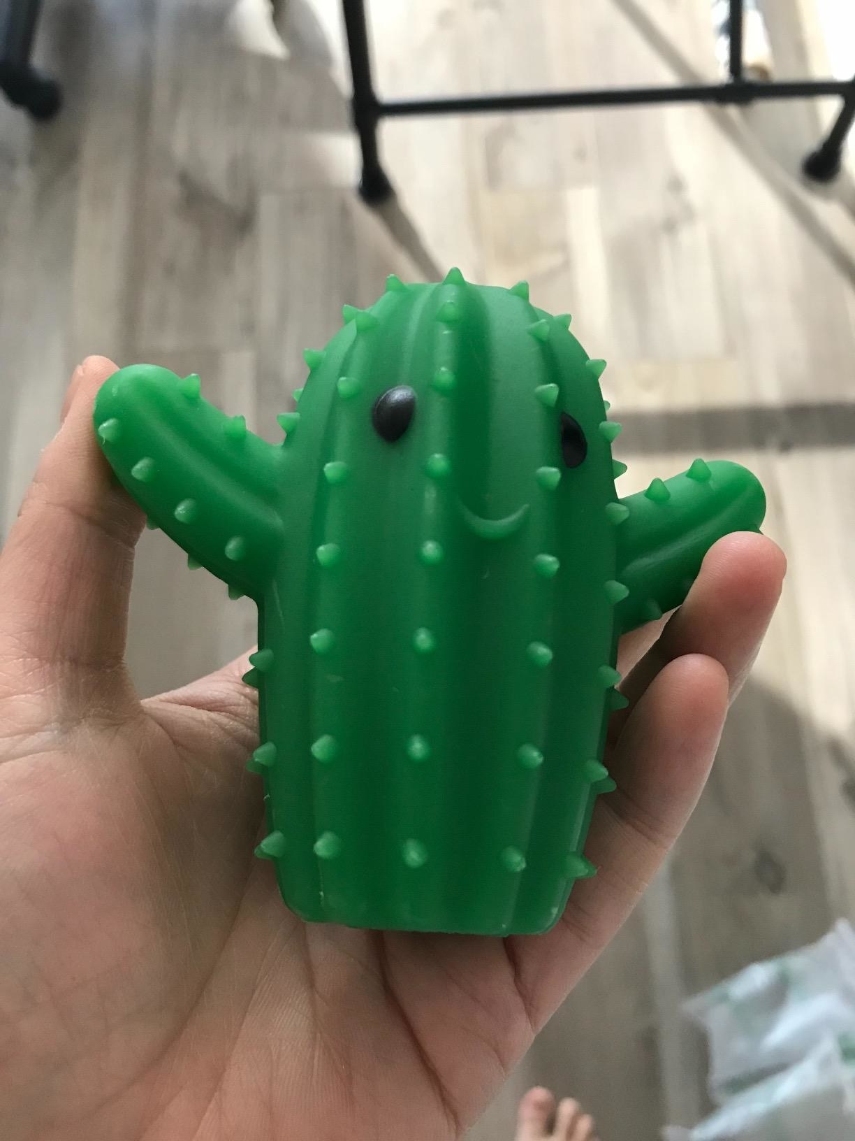 Reviewer holding the green dryer ball shaped like a cactus