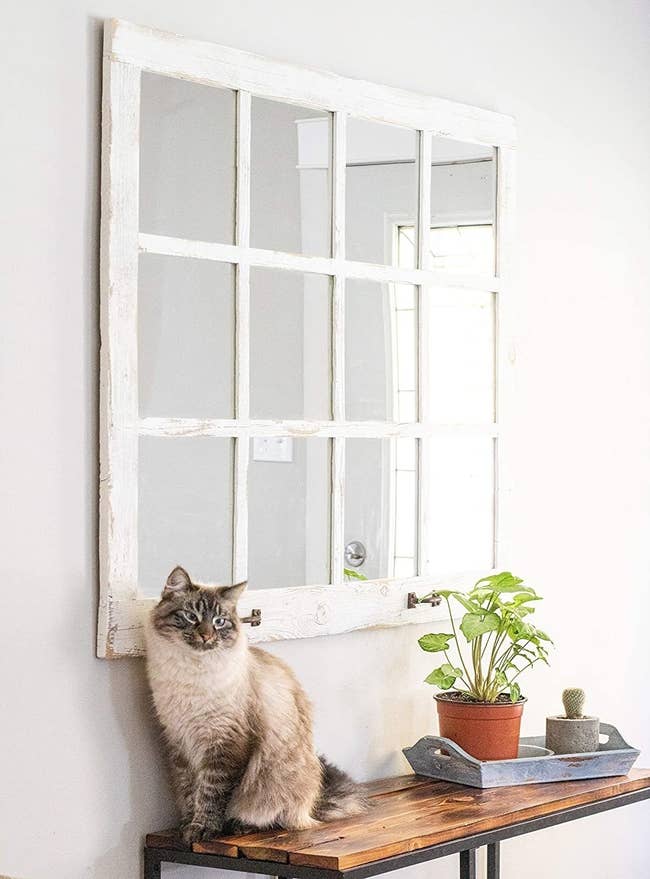 a cat sitting on a ledge underneath a white wooden window pane that's a mirror