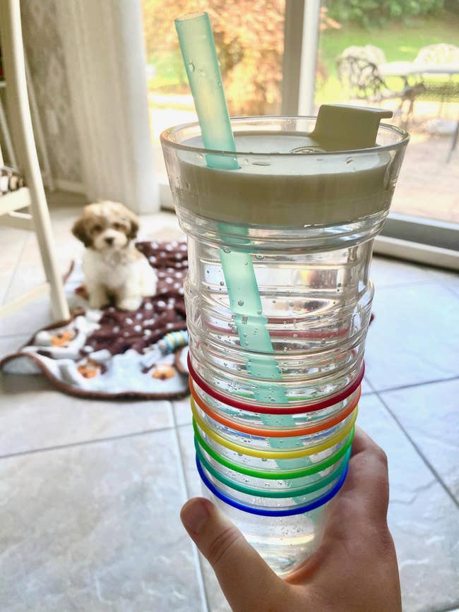 buzzfeed editor's clear water bottlr with rainbow colored bands and a teal straw