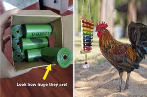 Poo bags / a chicken xylophone