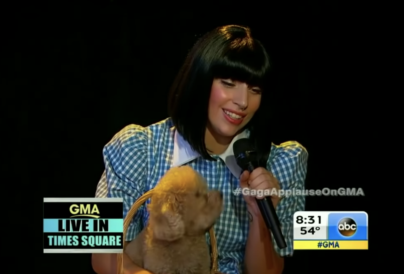 Gaga singing in a short black bob while carrying a real dog in a basket