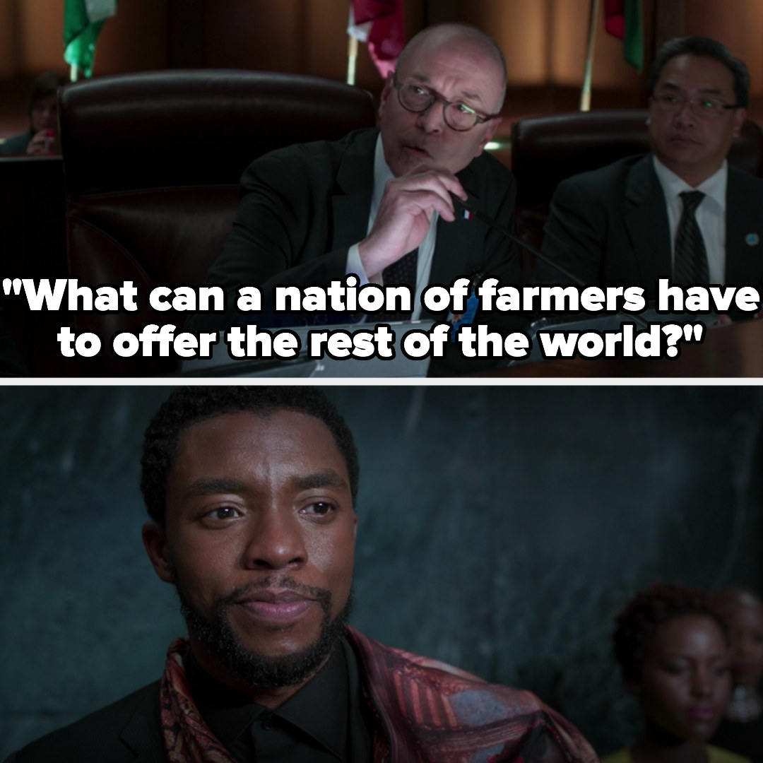 a guy at the UN asks what a nation of farmers can offer the world, and T&#x27;Challa just smiles