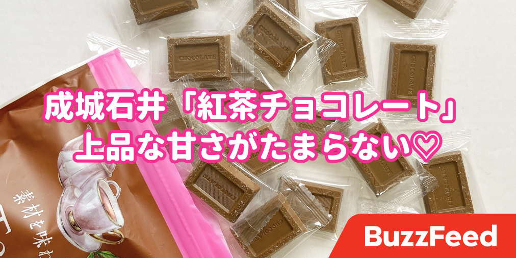 成城石井 素材を味わう紅茶チョコレート